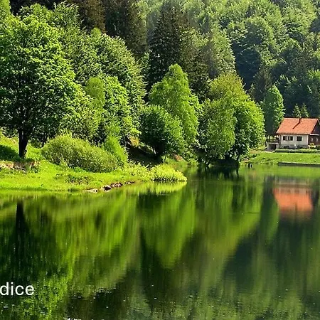 Villa Stella - Wellness With A Swimming Pool, Hot Tub And Sauna Ravna Gora