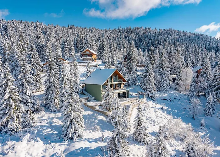 Stella - Wellness With A Swimming Pool, Hot Tub And Sauna Villa Ravna Gora