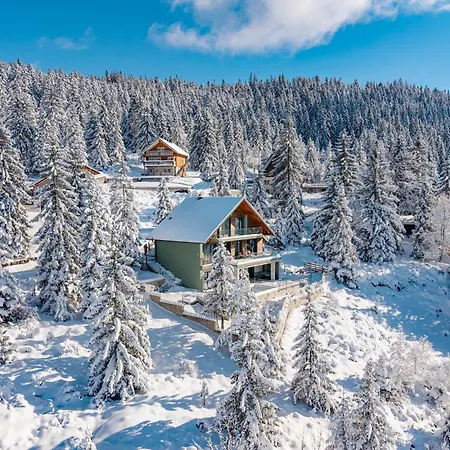 Stella - Wellness With A Swimming Pool, Hot Tub And Sauna Villa Ravna Gora