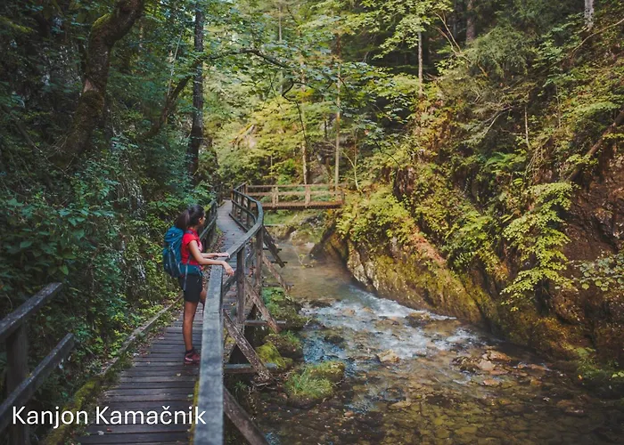 Stella - Wellness With A Swimming Pool, Hot Tub And Sauna * Ravna Gora